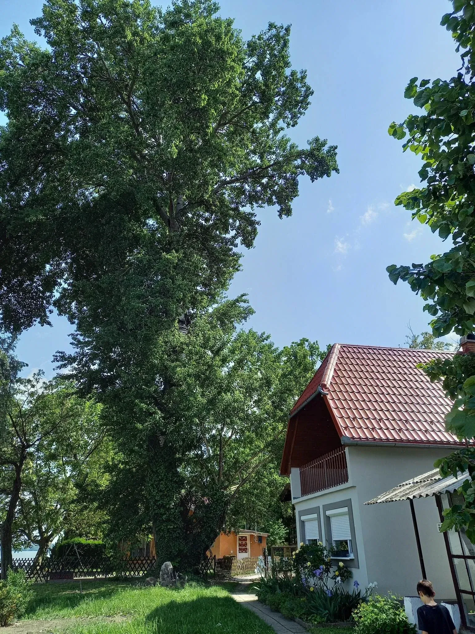 A vendégház a fák között